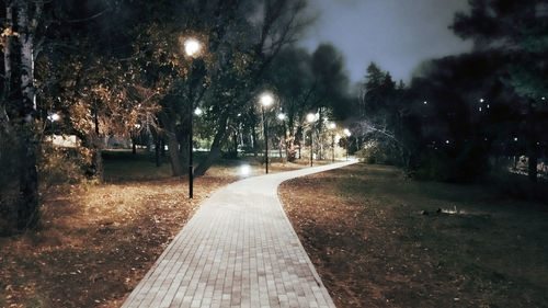 Illuminated footpath in park at night