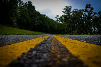 Empty road amidst trees