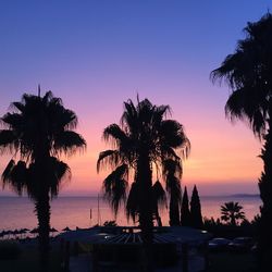 Silhouette palm trees on beach against sky during sunset