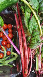 Close-up of vegetables