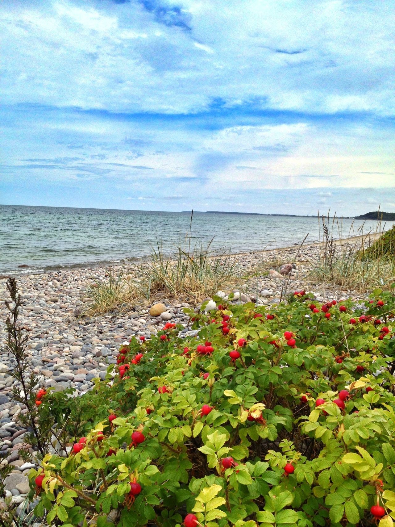 FKK Strand Steilküste