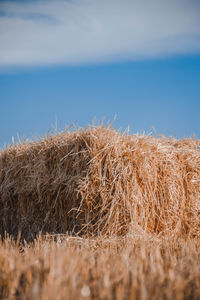 Hay bales on field against sky