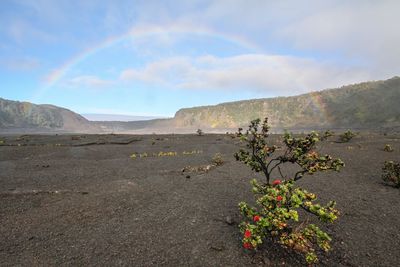 Scenic view of view of rainbow over lake against cloudy sky