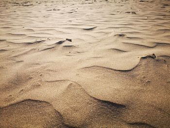 High angle view of footprints on sand at beach