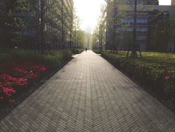 Footpath in park