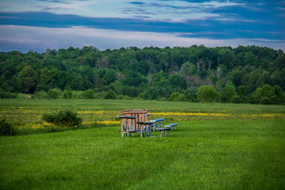 Lonely bleachers on field by trees against sky