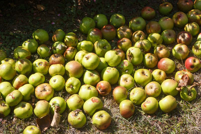 Full frame shot of apples