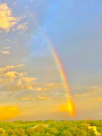 Scenic view of rainbow over field against sky