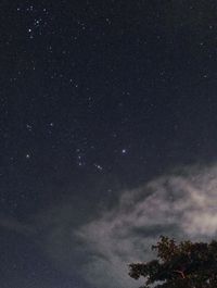 Low angle view of star field against sky at night