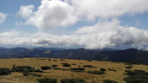 Scenic view of landscape against sky