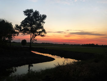 Silhouette trees on field against sky during sunset