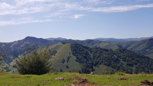 Scenic view of landscape against sky