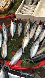 High angle view of fish in container on table