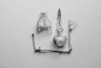 High angle view of eggs in white background