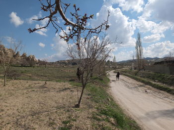 Road amidst bare trees against sky