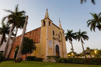 Low angle view of palm trees and building against sky