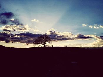 Silhouette trees on landscape against sky