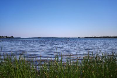 Scenic view of lake against clear blue sky