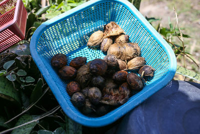 High angle view of vegetables in basket