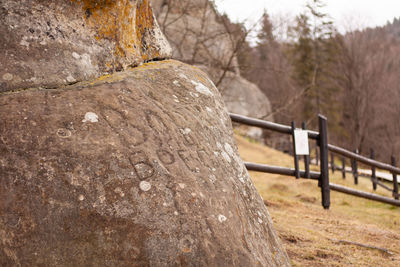 Old tustan rocks with moss in ukraine