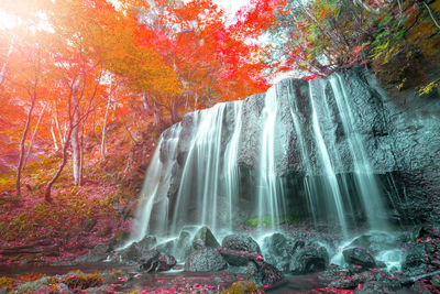 Scenic view of waterfall in forest during autumn