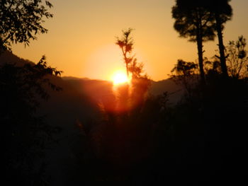 Silhouette of trees at sunset