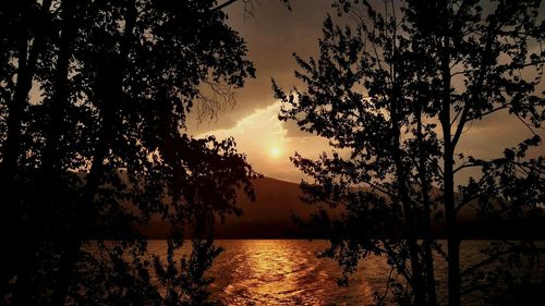 Silhouette trees by lake against sky during sunset