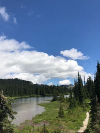 Scenic view of lake in forest against sky