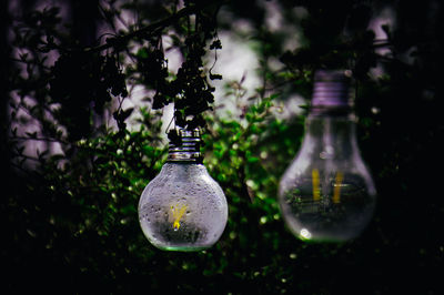 Close-up of light bulb on table