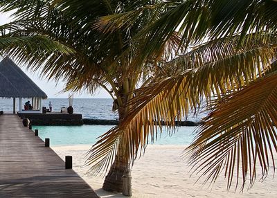 Cropped jetty at calm sea