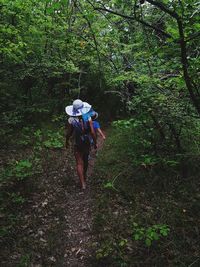 Rear view of woman walking in forest