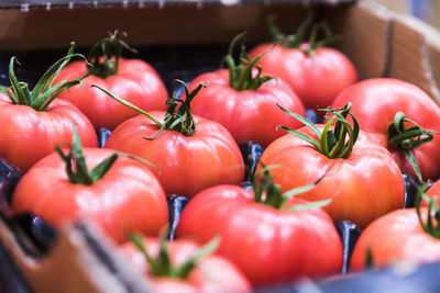 Close-up of tomatoes for sale in market