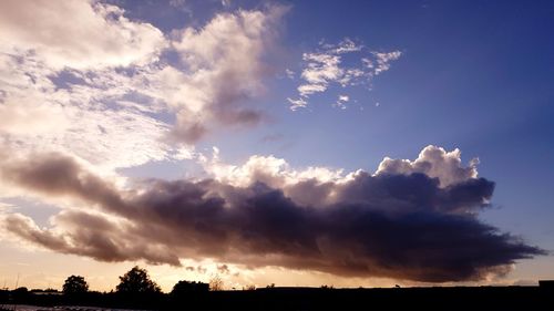 Low angle view of silhouette trees against sky during sunset
