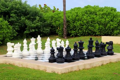 Row of chess against trees and plants
