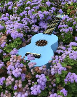 A blue ukulele in purple flowers.