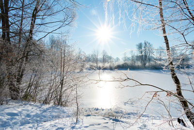 Snow covered bare trees against sky