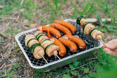 High angle view of food on field