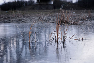 Scenic view of frozen lake