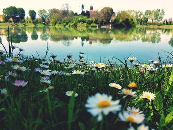 Scenic view of lake