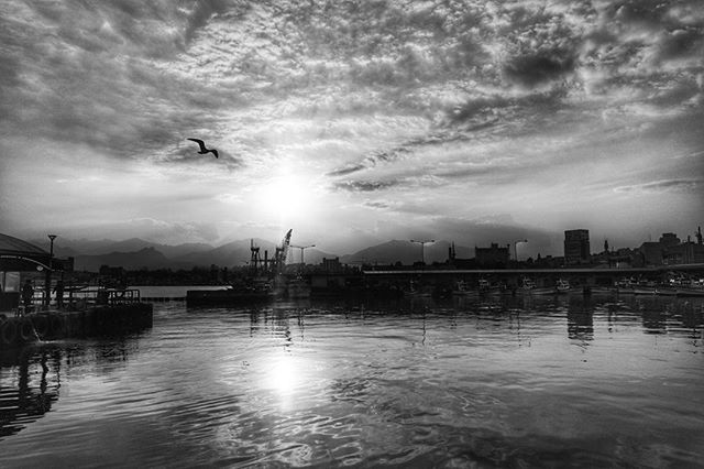 water, sky, bird, cloud - sky, waterfront, built structure, architecture, building exterior, cloudy, reflection, river, city, animal themes, flying, cloud, animals in the wild, sea, wildlife, nature, silhouette
