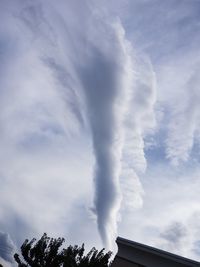 Low angle view of smoke emitting from tree against sky