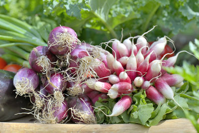 Close-up of fresh vegetables