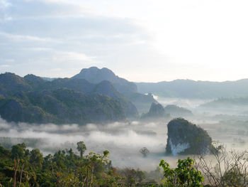 Phu langka in the morning covered with fog in phayao province, thailand