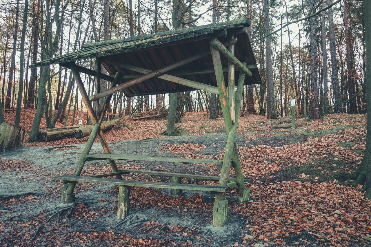 EMPTY SEATS IN THE FOREST