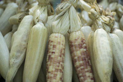 Full frame shot of sweet corn at market stall
