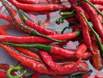 Full frame shot of red chili peppers