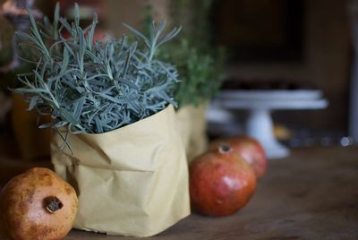 Close-up of plant by fruits on table