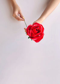 Midsection of woman holding red rose against white background