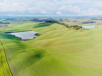 Scenic view of agricultural field against sky