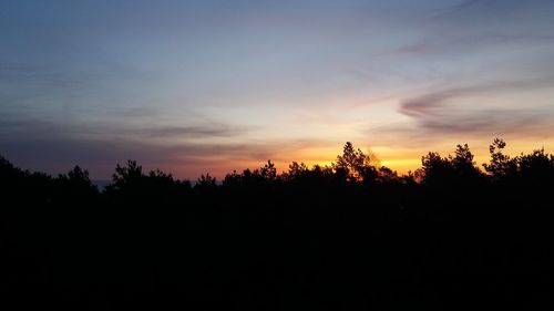 Silhouette trees against sky during sunset